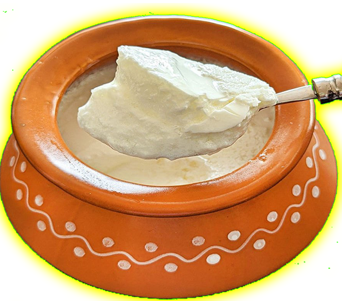 pure cow milk curd ranipokhari rishikesh dehradun